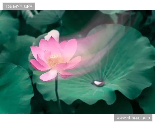 后滕久美子：静谧时光里的暗香浮动，探寻不被定义的美学力量